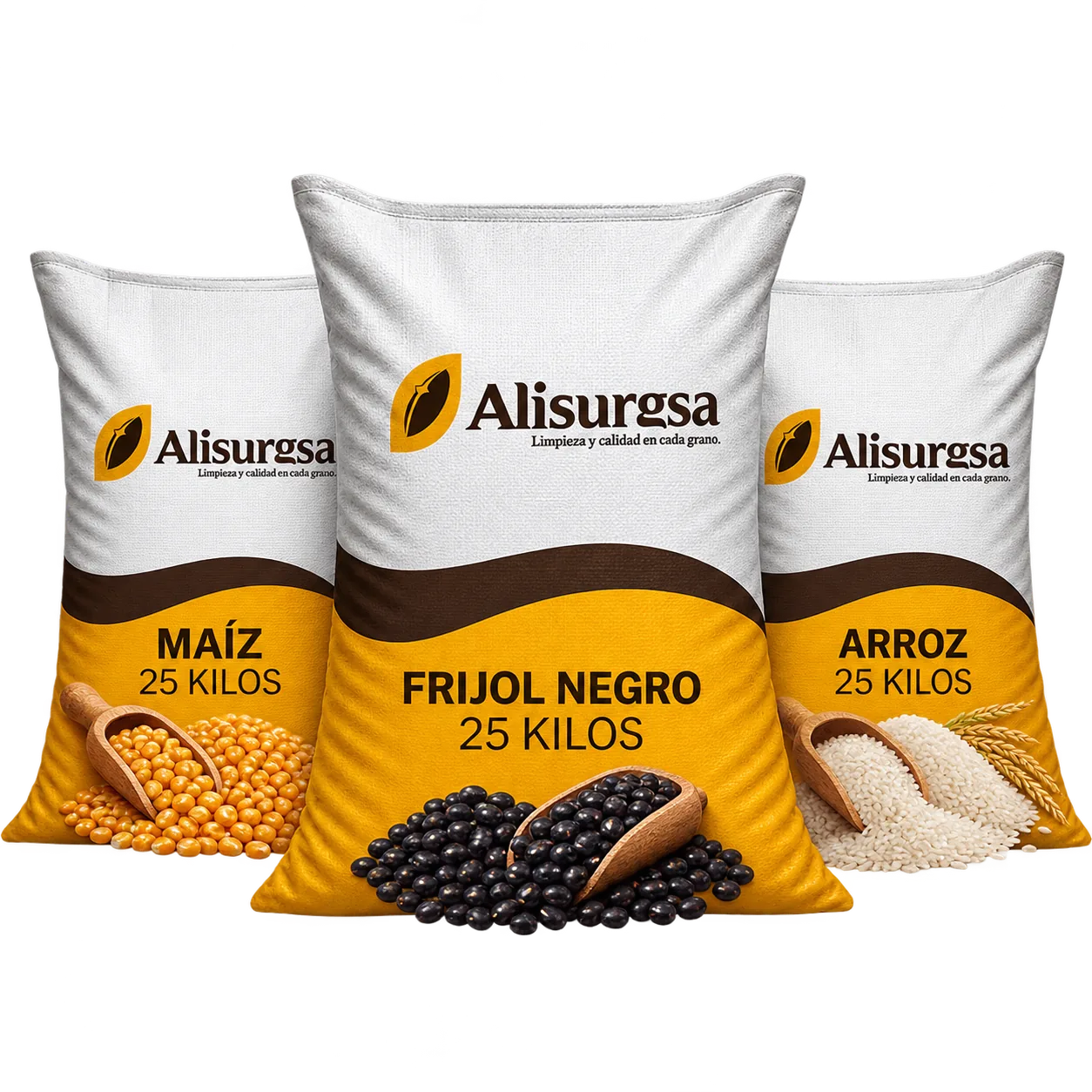 ALISURGSA